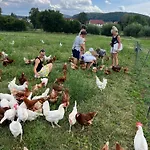 アパート Landkulturhof Gluecksbringer