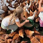 Landkulturhof Gluecksbringer アパート *