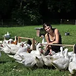 Landkulturhof Gluecksbringer *