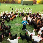 アパート Landkulturhof Gluecksbringer