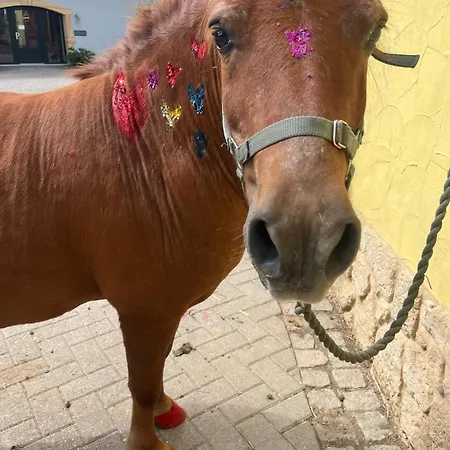 Landkulturhof Gluecksbringer