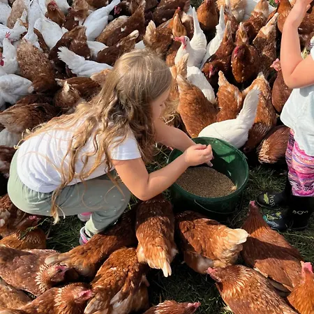 Landkulturhof Gluecksbringer شقة *