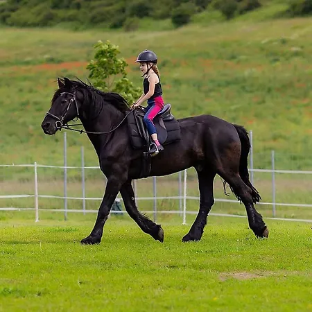 شقة Landkulturhof Gluecksbringer