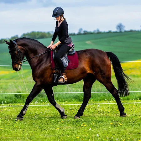 Landkulturhof Gluecksbringer *