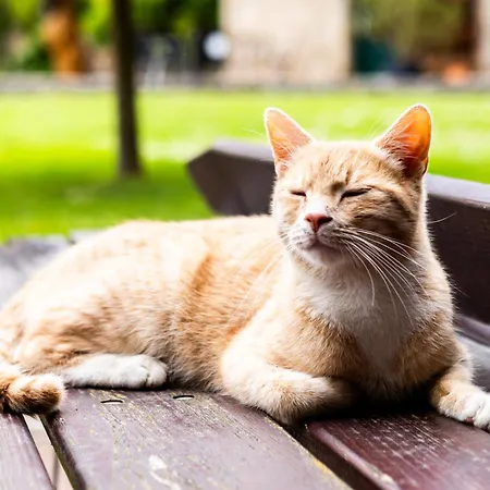 Landkulturhof Gluecksbringer شقة