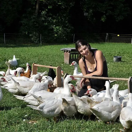 Landkulturhof Gluecksbringer *