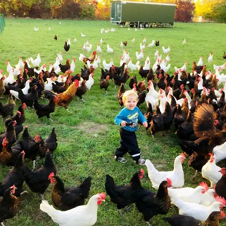 شقة Landkulturhof Gluecksbringer