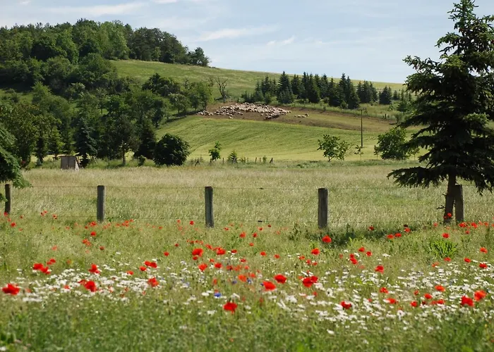 Lägenhet Landkulturhof Gluecksbringer