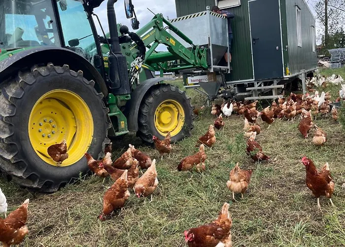 Landkulturhof Gluecksbringer Rudolstadt