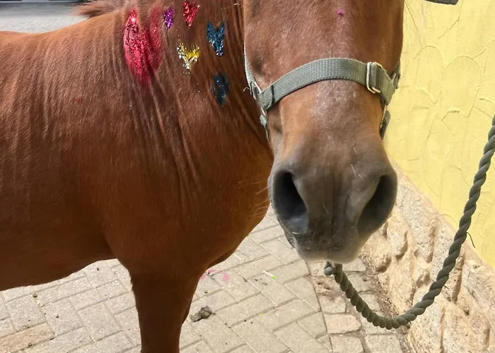 Landkulturhof Gluecksbringer