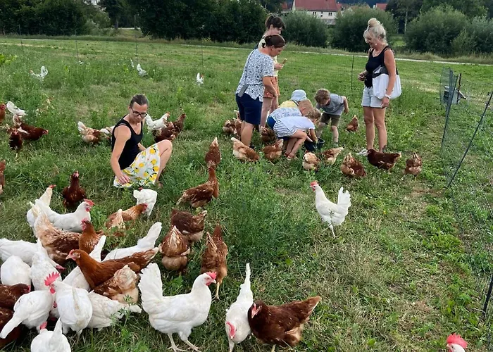Apartment Landkulturhof Gluecksbringer
