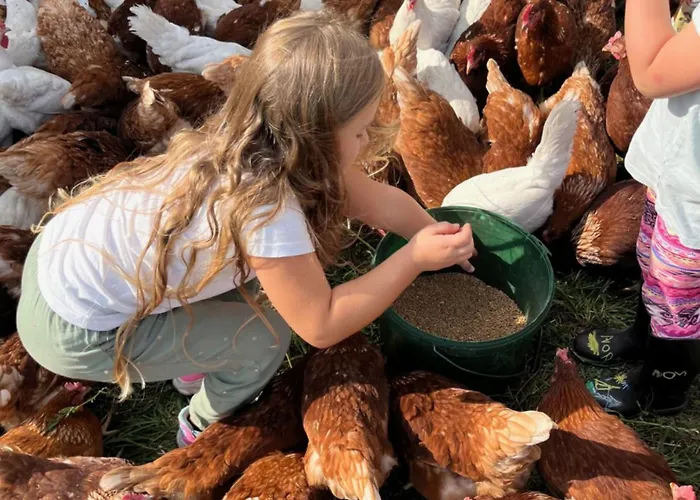 Landkulturhof Gluecksbringer Appartamento *