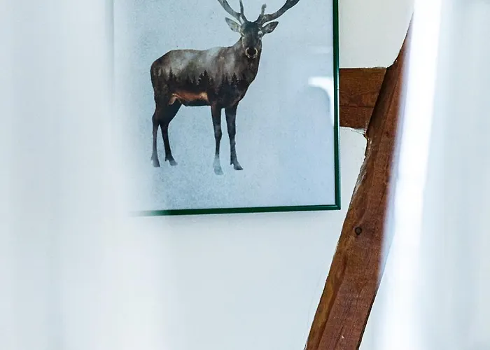 Landkulturhof Gluecksbringer Lägenhet Rudolstadt