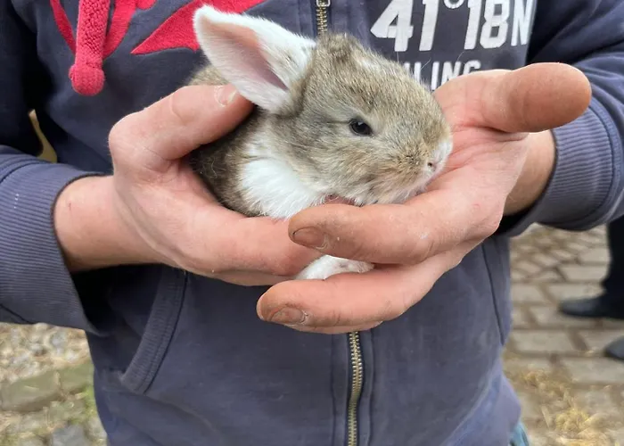 Landkulturhof Gluecksbringer * Rudolstadt