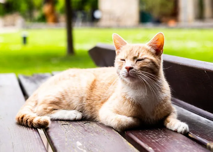 Landkulturhof Gluecksbringer Lägenhet
