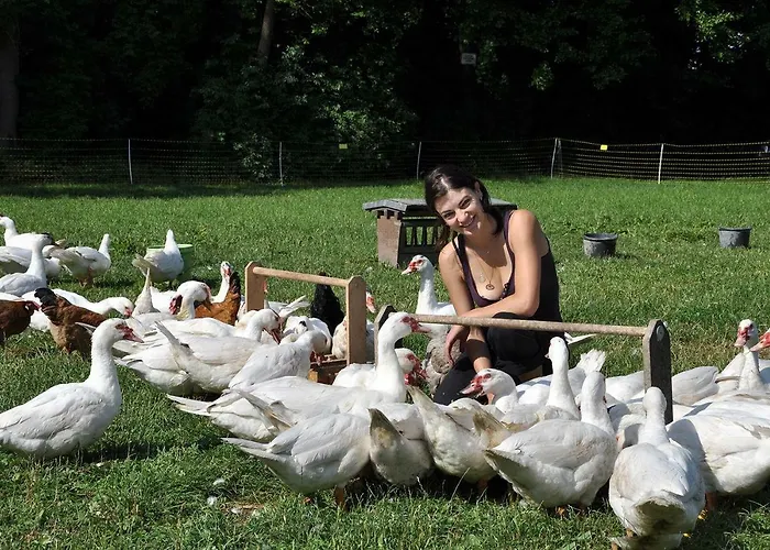 Landkulturhof Gluecksbringer *