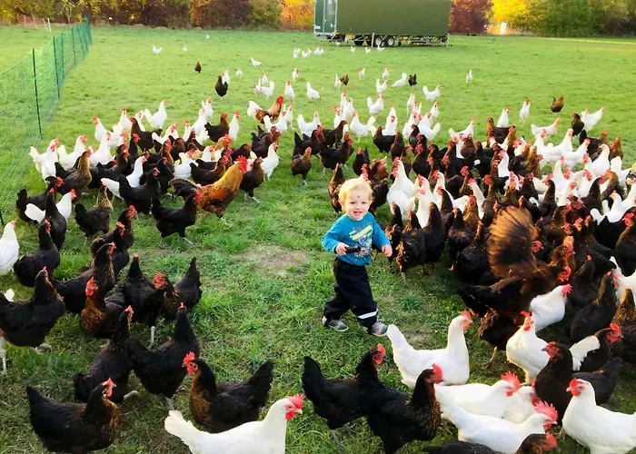 Lägenhet Landkulturhof Gluecksbringer